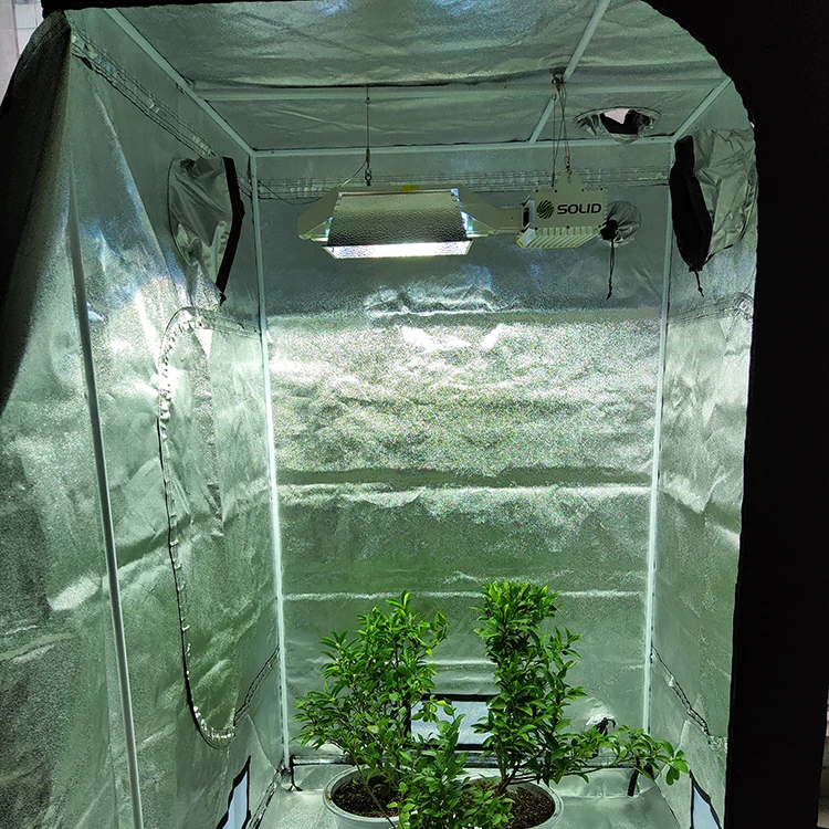 
630 watt cmh grow light with 630w digital ballast for cmh double ended lamp used in horticulture greenhouse plant grow 