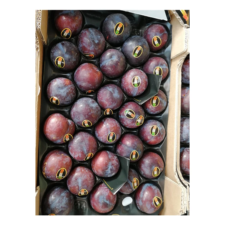 Italy High Quality Santa Clara Dark Plum Fresh Fruits