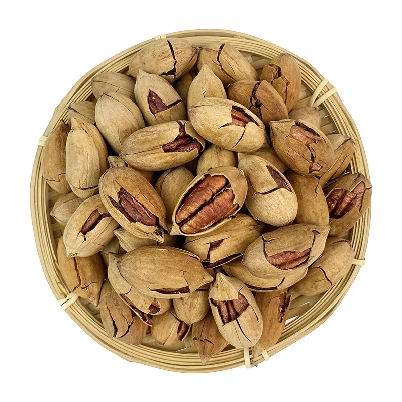 Wholesale Price Factory Direct Hot Sale Medium Dried Pecan nuts  Freshly Picked Bulk Pecan nuts for Snack Food.