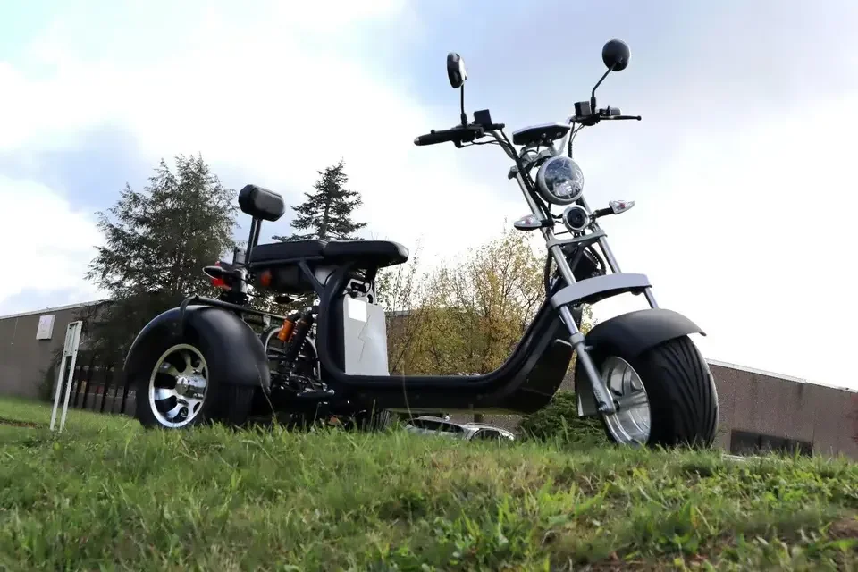 1500W electric motor tricycle with 10 inch tires motor car battery power 60v-20ah citycoco electric scooter