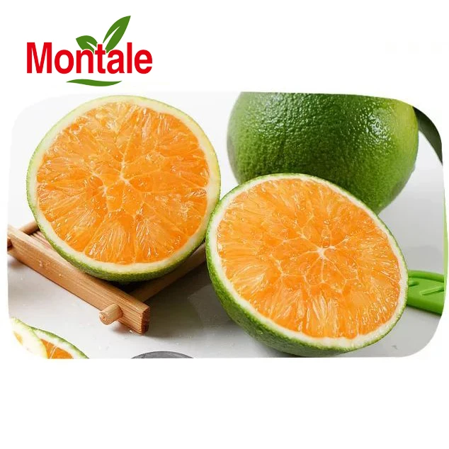 Montale свежий сладкий мандарин, оптовая продажа, сочный сахар, оранжевый