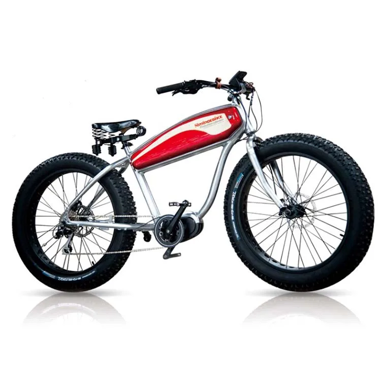 Outdoor sports bicycle with front shock absorber and wide tire electric mountain bike fat tire electric cycle motor 750w
