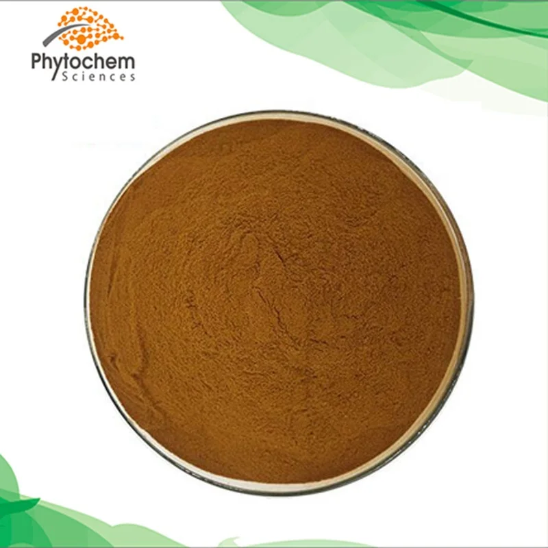 Halal Kosher ISO 100% Natural No Adulteration Mushroom Fruiting Body High Quality Polysaccharides Agaricus Bisporus Extract