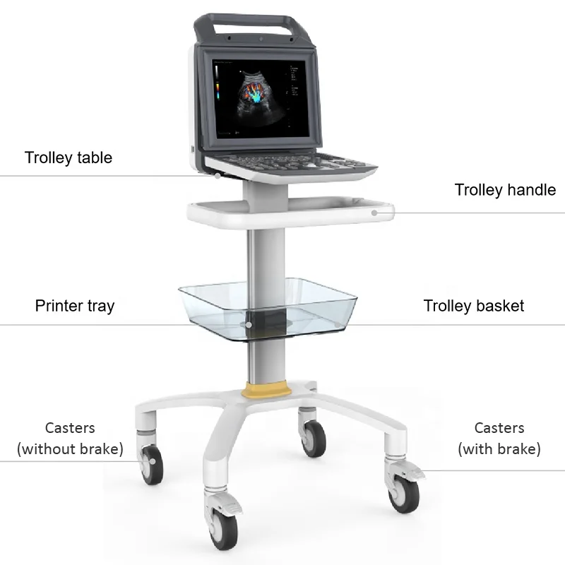 Китай портативный ультразвуковой аппарат цена Equipos De Ultrasonido Medico 4D для медицинских