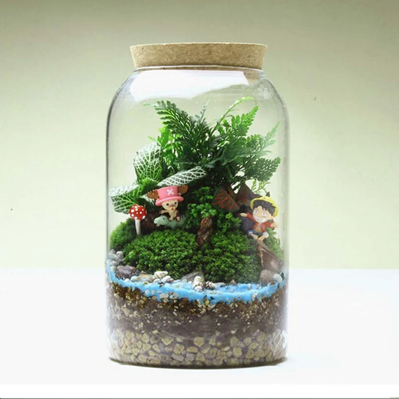 Plant Terrarium Set Recycled Glass Closed Large Terrariums For Plants