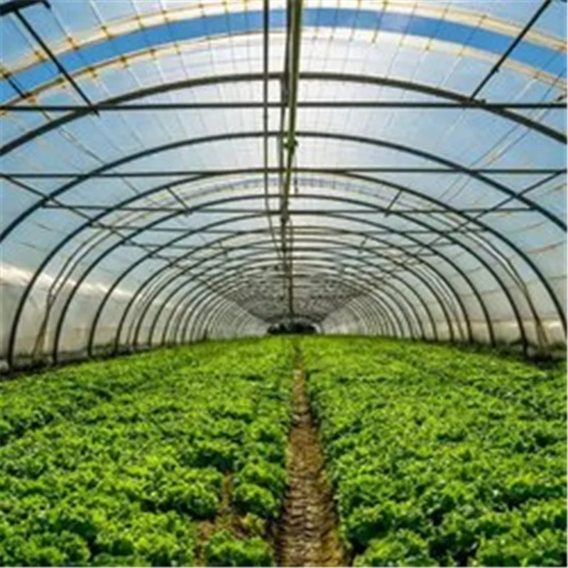 Plastic film agriculture greenhouse vegetables warm hot green house