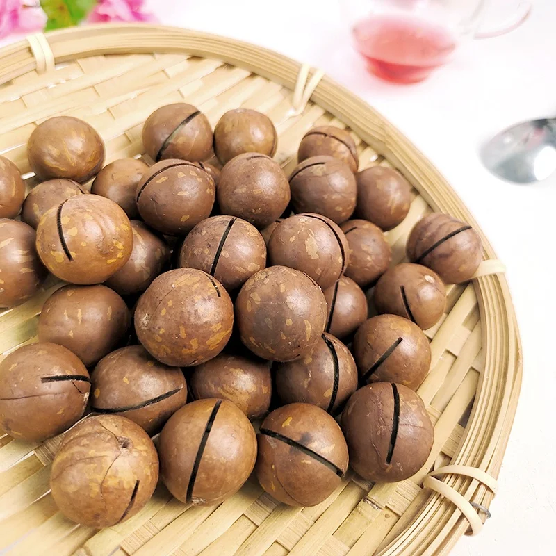 Macadamia Nuts Roasted and Cracked 22mm--25mm Nutritious Direct-Eating Snack Wholesale from China .