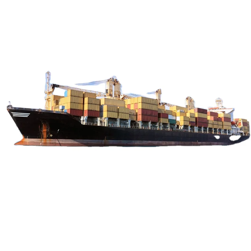 sea freight forwarder ddp/ddu sea service from china to usa canada uk germany spain door to door