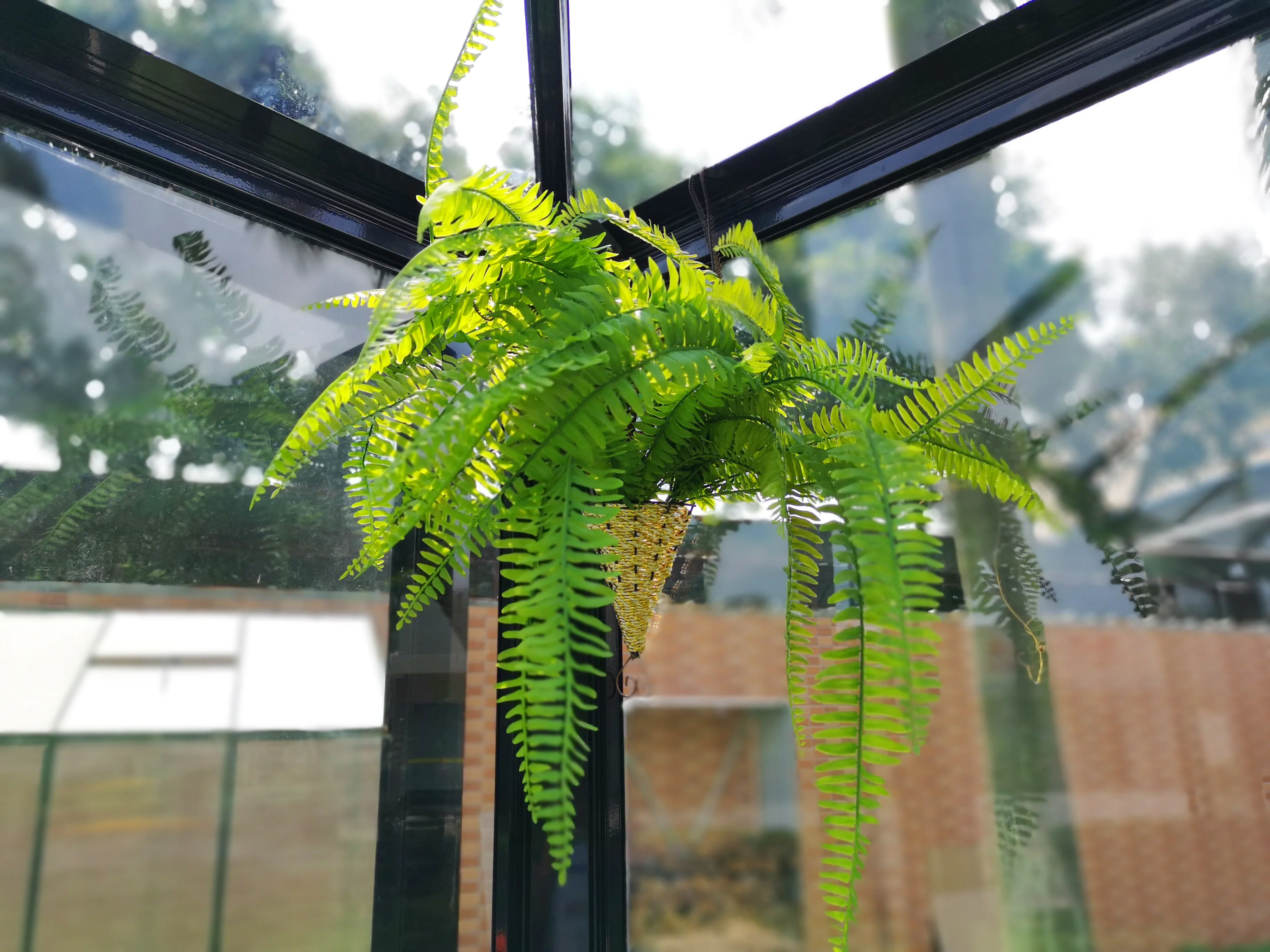 Manufacturer Popular Design Garden Greenhouse Customized Aluminum Sunroom Glass House Garden Buildings Agriculture Greenhouse