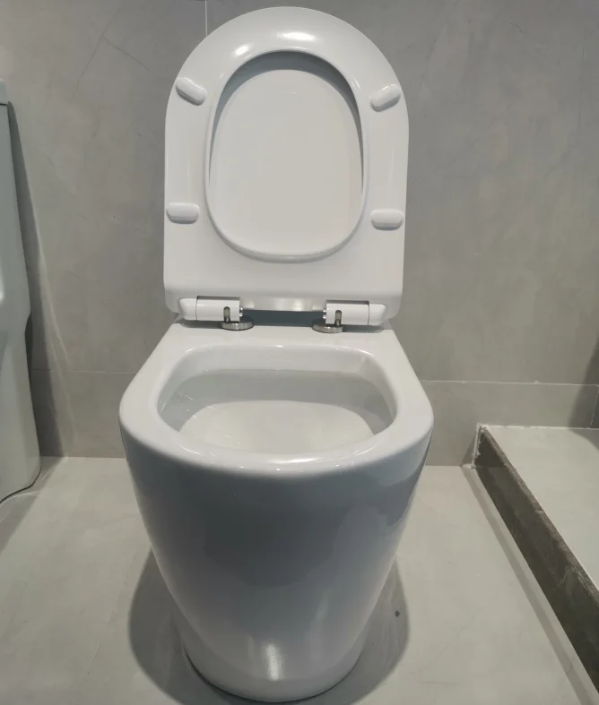 Hot selling Ceramic Wc Bathroom toilet bowl brand dual flush Floor Mounted One Piece Toilet