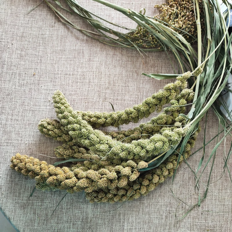 Спрей для хомяка желтый спрей пса