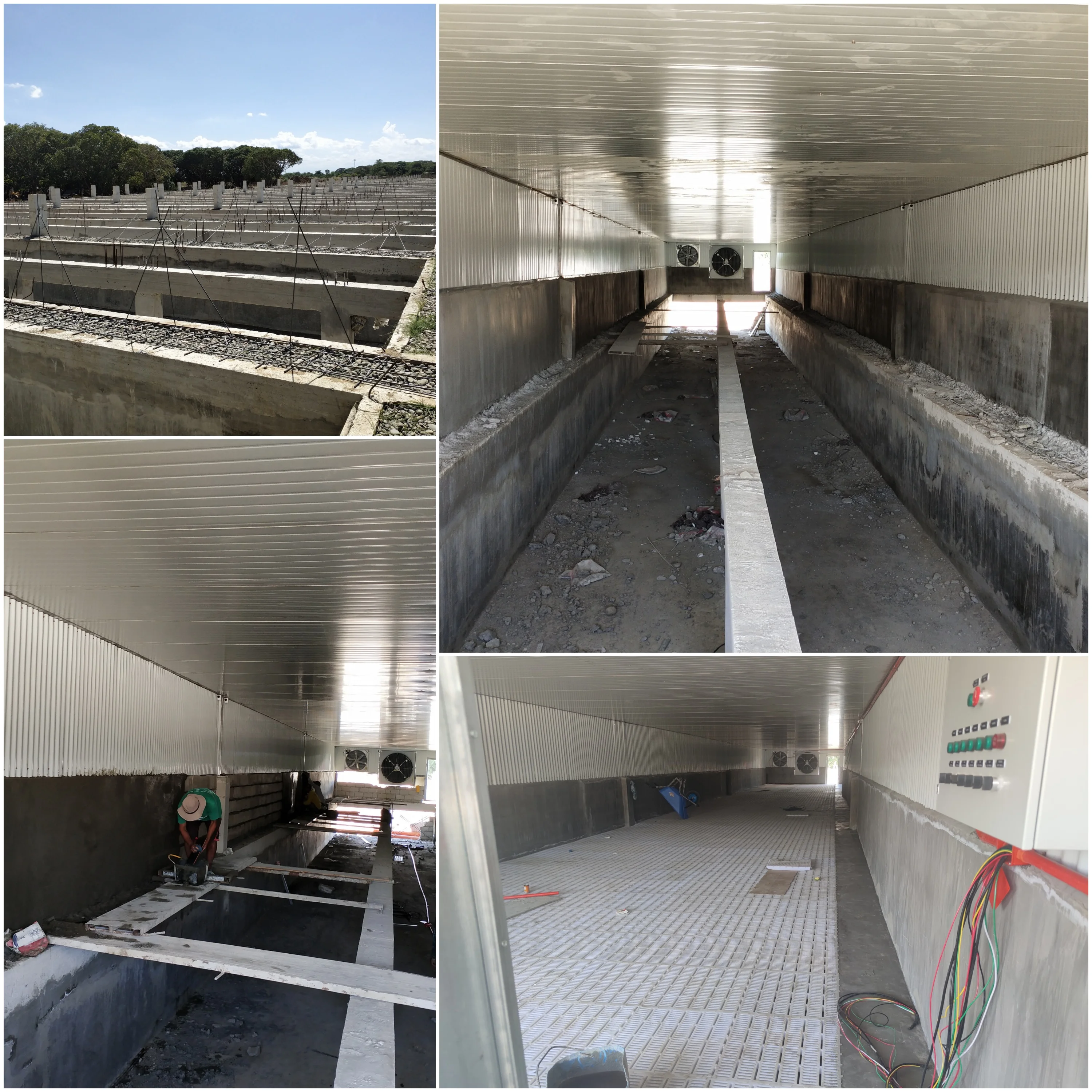 Light Steel Frame Sheds Pig Farm Equipment and Piggy Cage Sow House