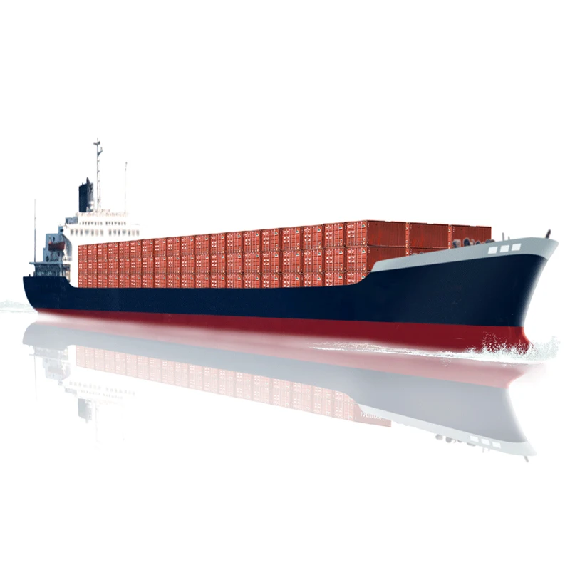 Swwls Sea Freight From China to Sweden/Canada/Door to Door Freight Forwarder