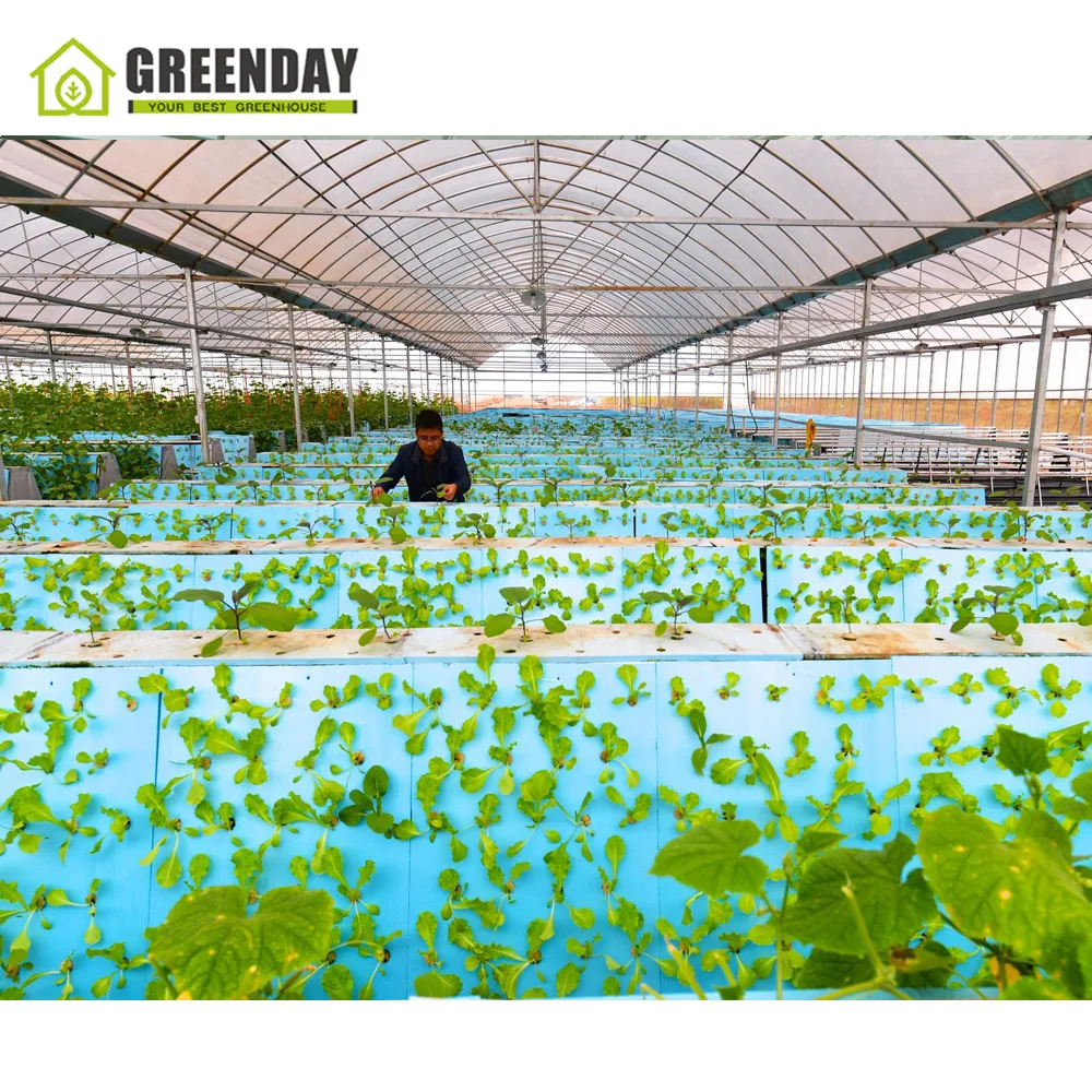 
GREENDAY UV protective polycarbonate garden greenhouse from China Guangzhou plastic 