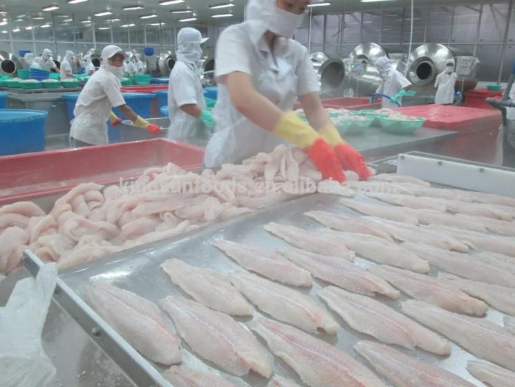 Frozen pangasius fillets with high quality