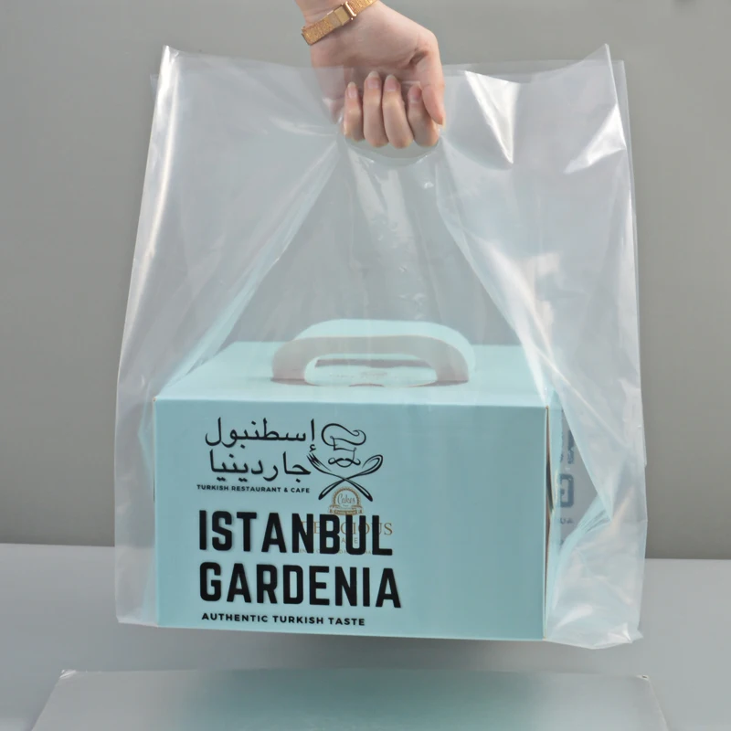 Custom Print Brand LOGO ECO Friendly Die Cut Handle Shopping Frosted Luxury Merchandise HDPE LDPE Plastic Carrier Bags With