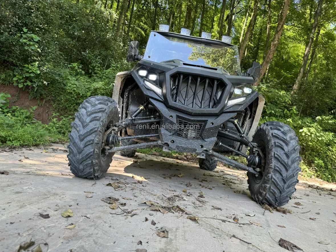 New Arrival 500cc Buggy Car UTV Adults Utility Terrain Vehicle CVT Chain Automatic Side-by-Side Design