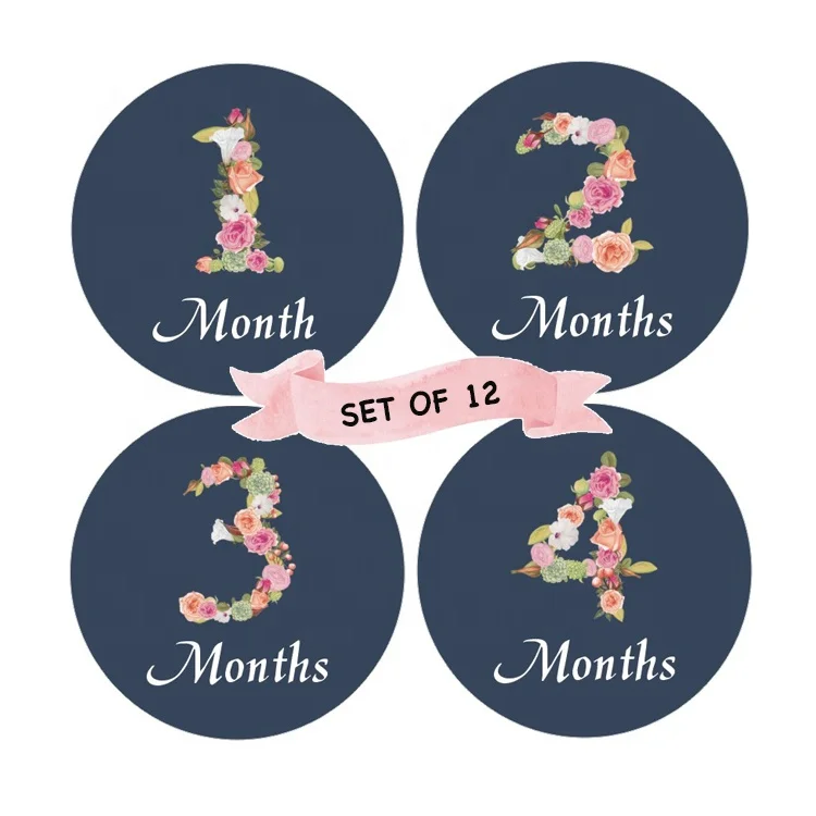 Wholesale Wish New born baby monthly stickers floral milestone stickers