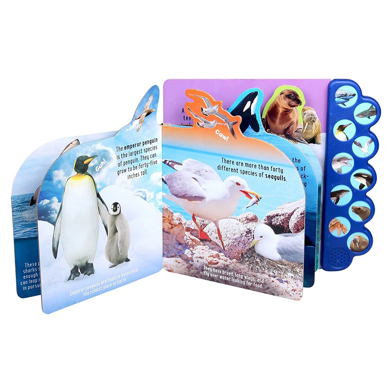 ULi YYS005 Factory Custom Book Wholesales OEM 10 Pushing Buttons Music Audio Sound Book For Children