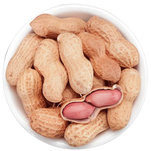 
Roasted peanut in shell 