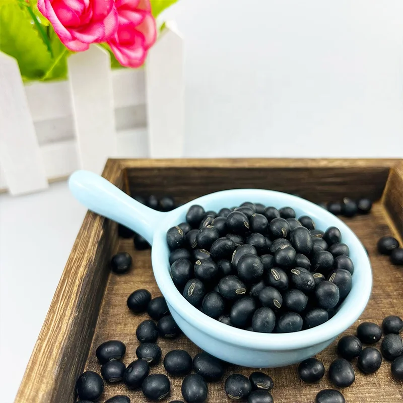 Black Soybean Soybeans Chinese Organic NON-GMO Dried Soy Bean for