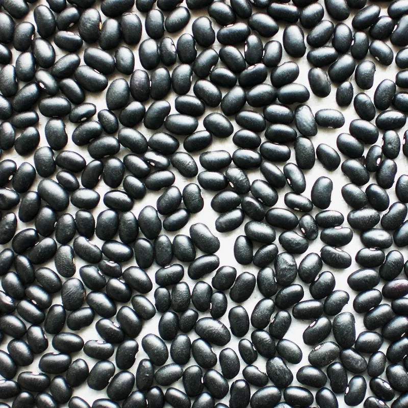 
High quality new Crop Dried Black Kidney Bean 