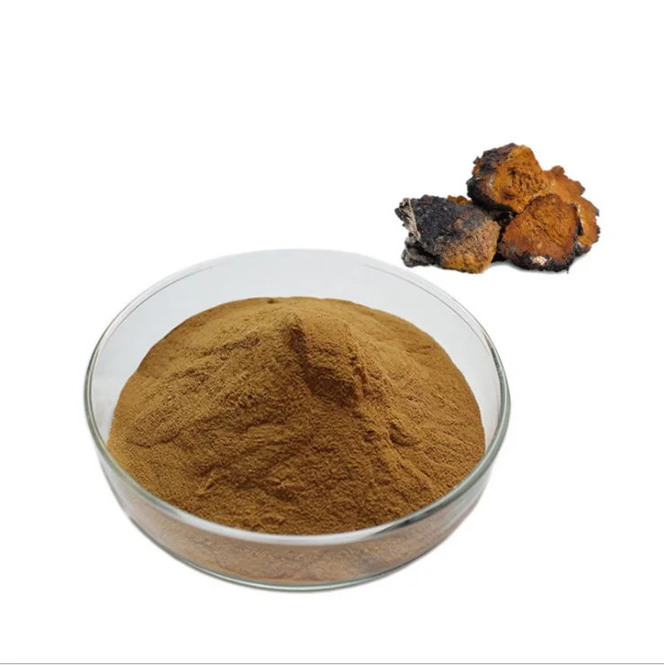 Bulk Price Chaga Extract Polysaccharide Nature Chaga Mushroom Extract for Health Care