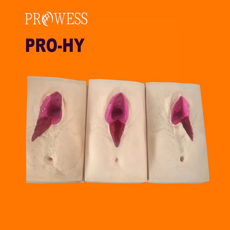 PRO-HY Vulva Suturing Training Simulator Perineal Incision Suture Skill Training Vagina Training Model