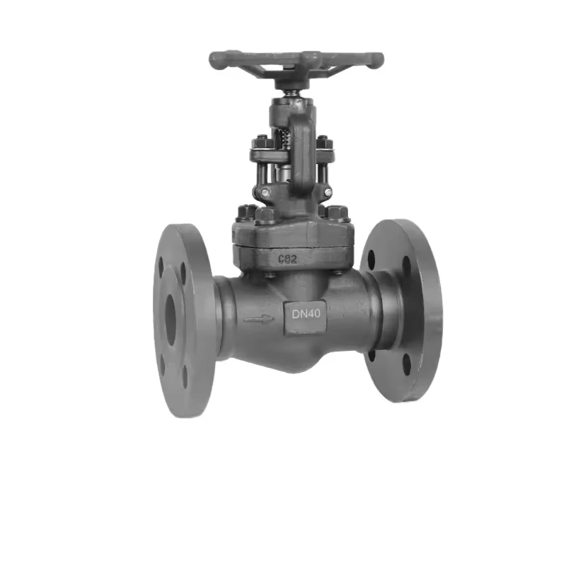 Stainless Steel Plug Type Cast Iron Globe Valve J41W-25P PN25 Flange Globe Valve
