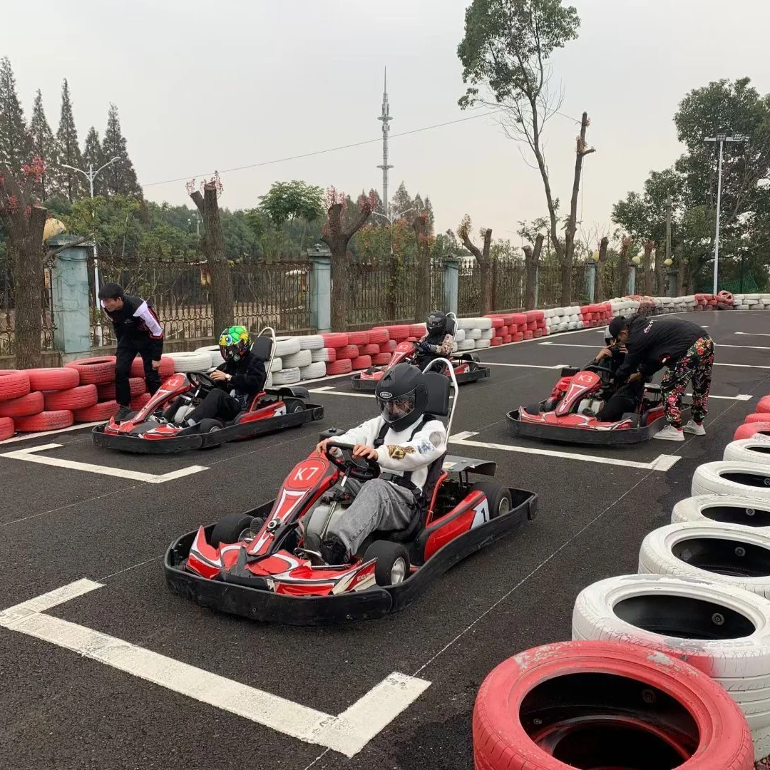 Factory price Cheap 4 Stroke High Speed Adult 250cc go kart sale