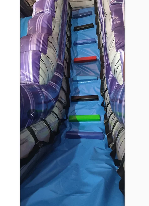 purple crush inflatable palm tree wet and dry 18 ft tall screaner adult waterslide water surf slide toboganes