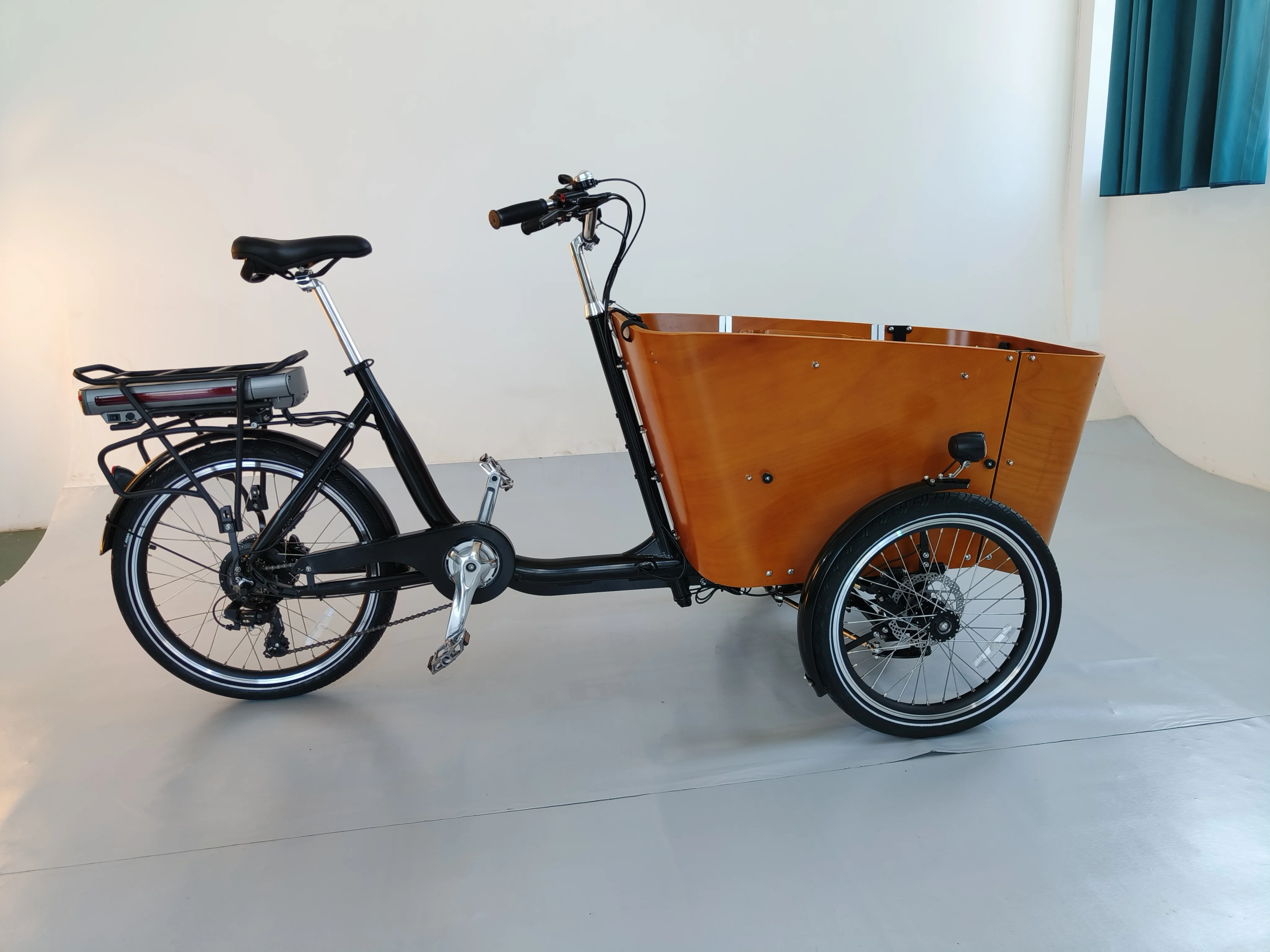 Hot Sale Three Wheels Cheap Bicycle Cargo Electric Tricycle Design