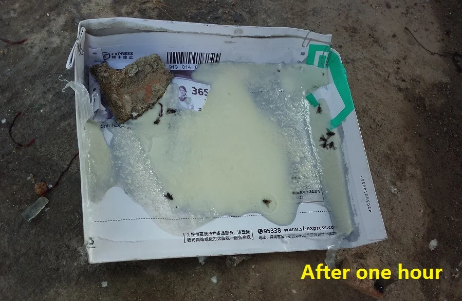 
AGITA 10WG 100g Jar package Fly Control Fly Bait Thiamethoxam add z-tricosene 