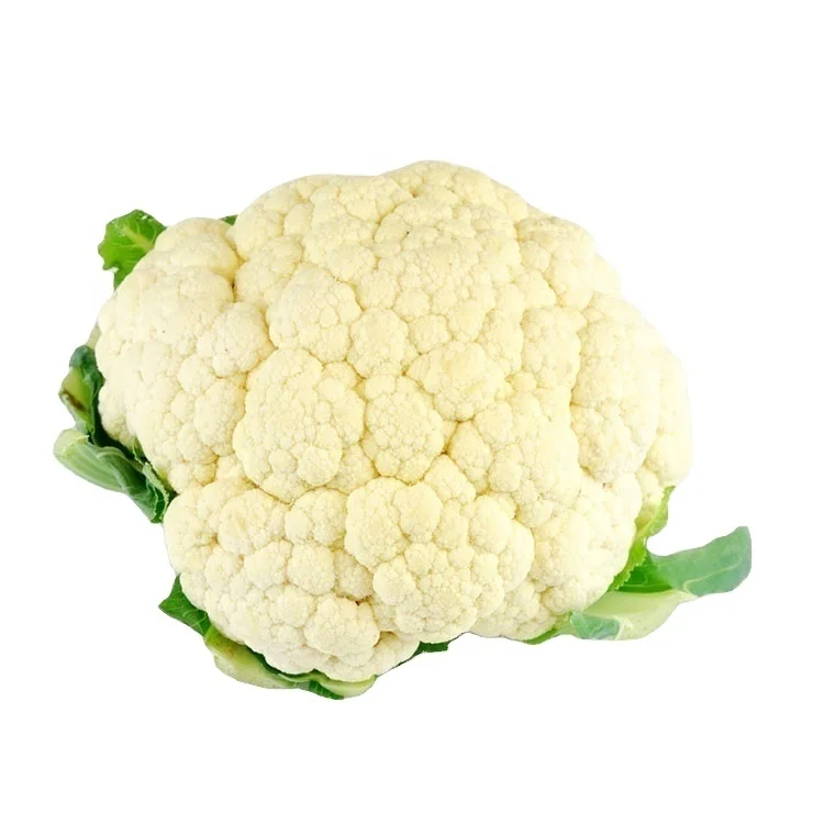 New Harvest Green leaf Vegetatables Fresh  High Quality Chinese Cauliflower big white cauliflower