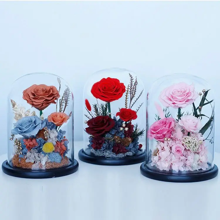 Hot Selling Christmas Wedding Decor Preserved Roses Long Life Forever Eternal in Dome Glass
