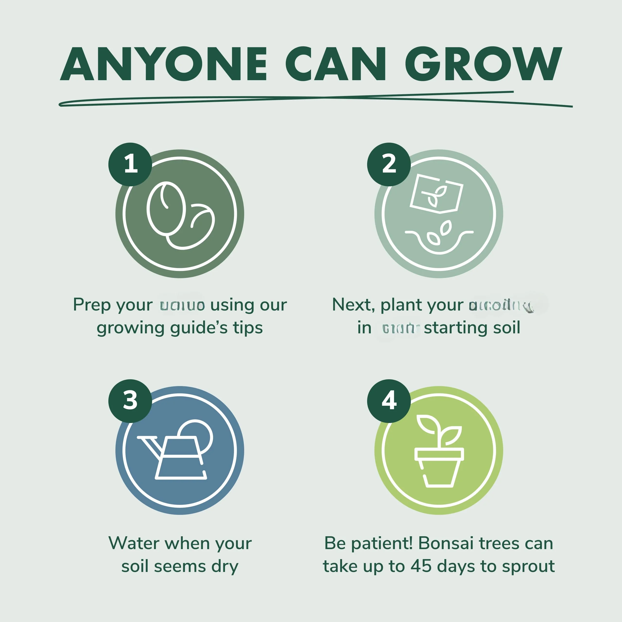 Hot Sale Home And Garden Products Gift Diy Ornamental Indoor Live Plant Natural Bonsai Starter Kit
