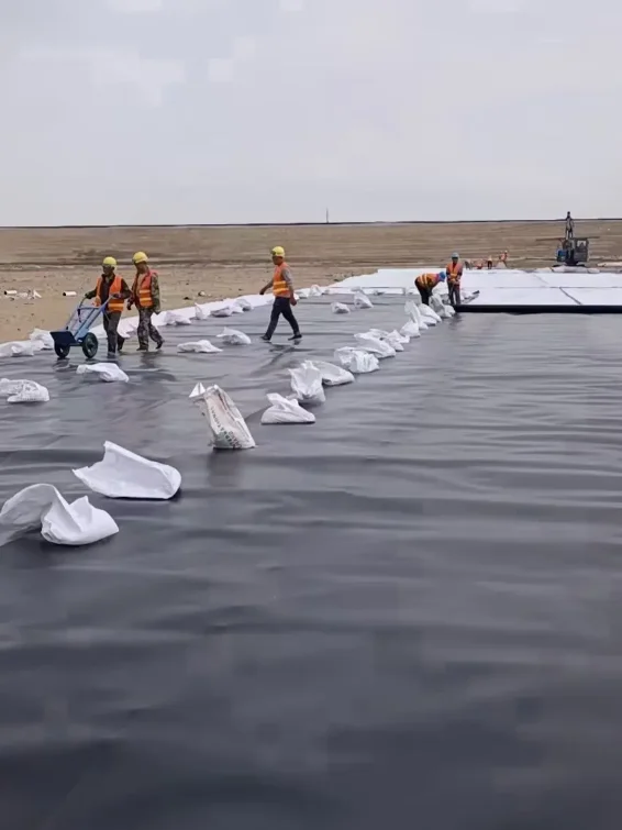 Оптовая цена Высокое качество геомембраны hdpe pp пластиковый лист 2 мм/3 мм подводка для рыбного пруда водонепроницаемая мембрана