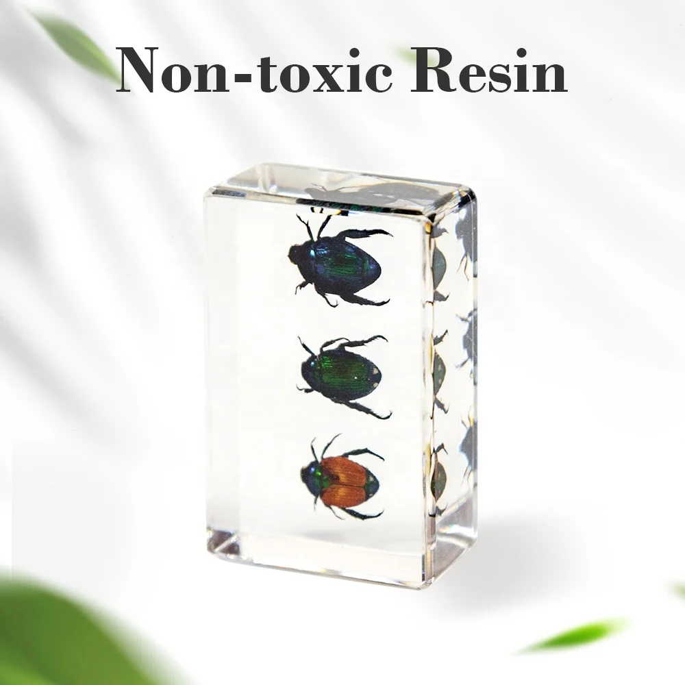 real beetles resin crafts three different kinds of beetles bugs in resin cube customized decoration for home living room