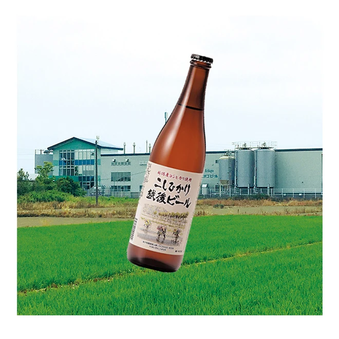500ml Glass Bottles Craft Handcrafted Beer In Japan Price