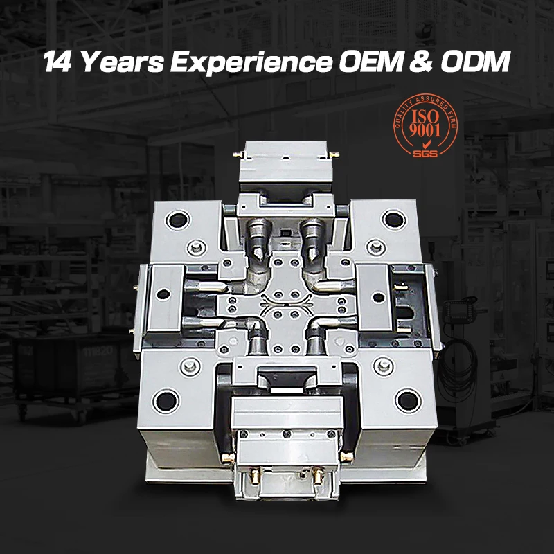Professional Manufacturer OEM ODM Mould Maker Inject Mouldings Injection PC Dust-free Medical Treatment Plastic Parts Mold