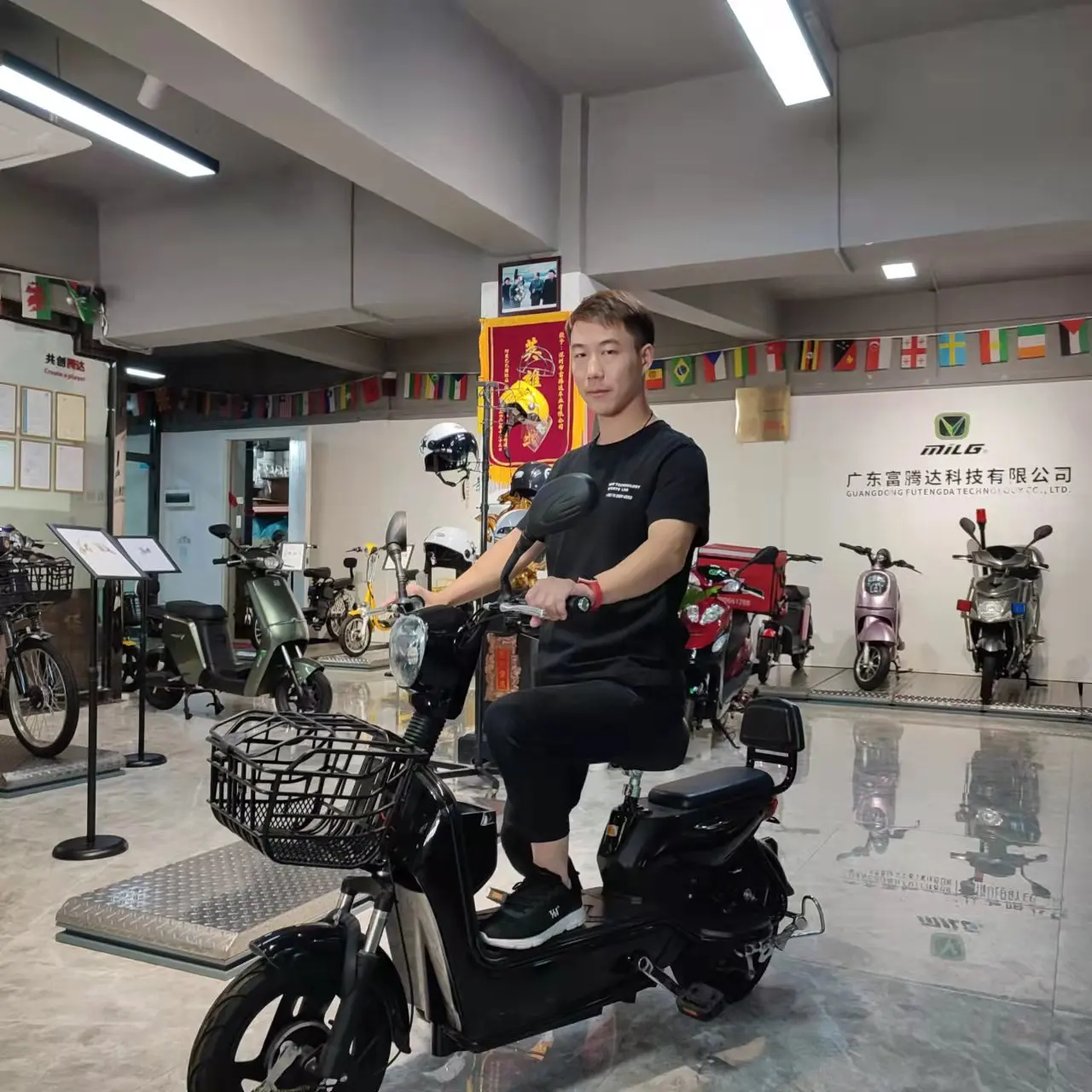 Shenzhen электрический велосипед с аккумулятором на колесах для электрического велосипеда 14 дюймов корзиной домашних животных