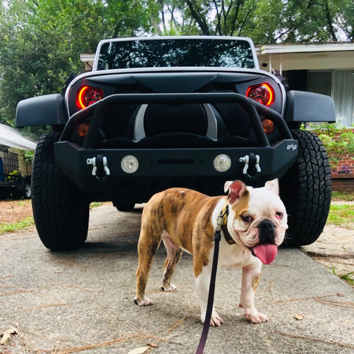 New Grille  For Jeep Wrangler JK   car grille  accessories Offroad parts