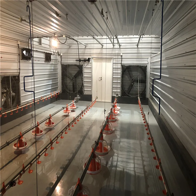 
 Автоматическое оборудование, сборная стальная конструкция, птицеводство, курятник  