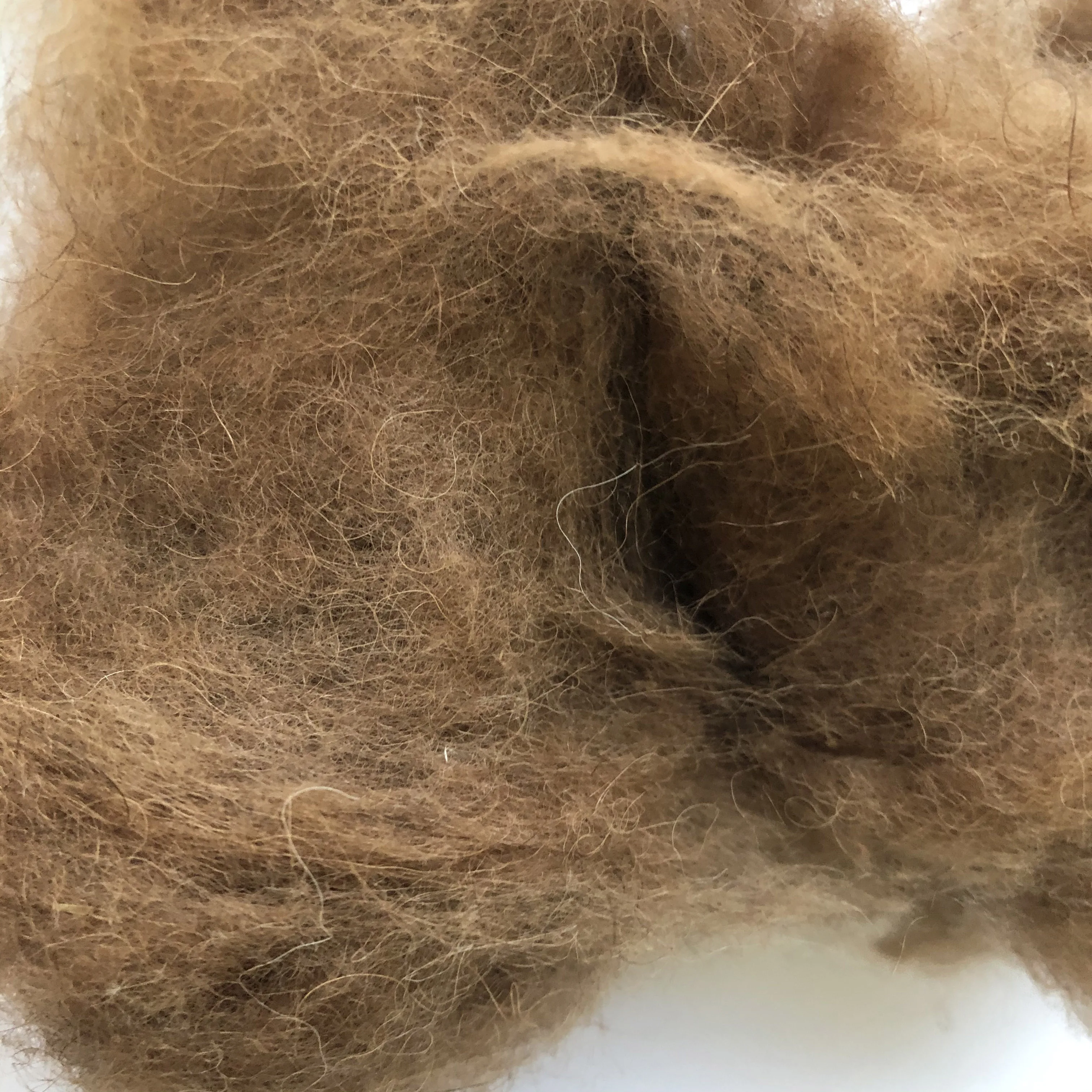 Dehaired camel hair, camel wool waste on sale