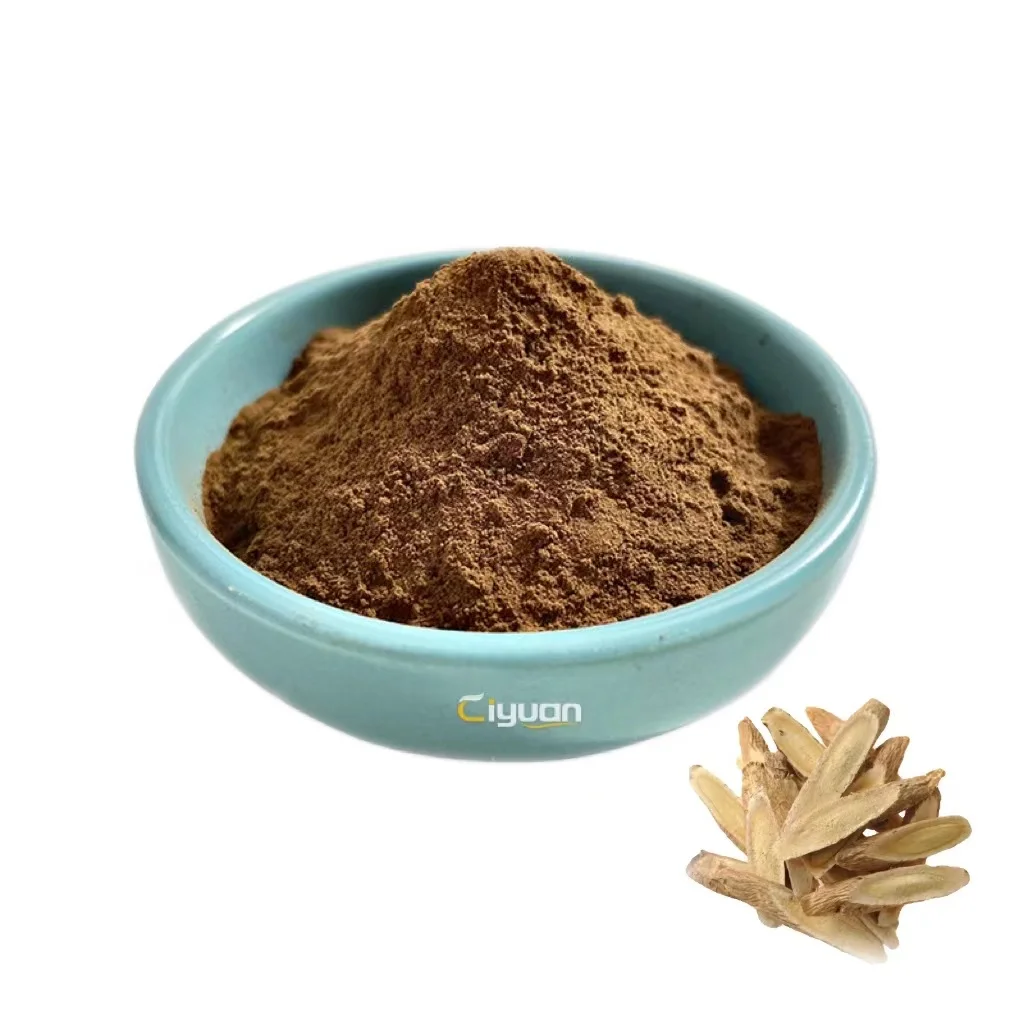 CiYuan Factory Supply Astragalus Root Extract Powder 10:1 50% polysaccharides OEM Service