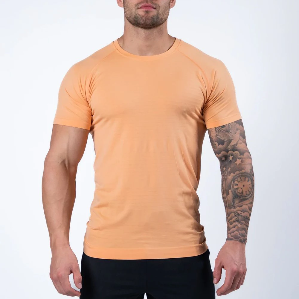 Custom Logo Printing Fitted Raglan Sleeve Gym 95% Cotton 5% Elastane T Shirt For Men