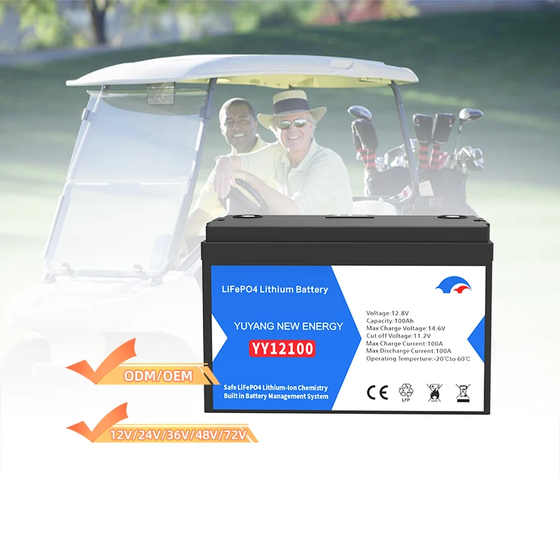 Deep Cycle Smart Solar Battery Lithium Ion 12v 24v 200ah 300ah 400ah Rechargeable Lithium Ion Battery 24v 200 Ah