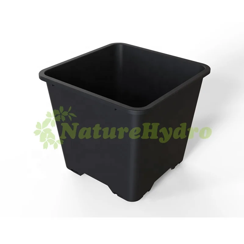 Various Square Injection Molded Plant Pots Blueberry Containers for Collection