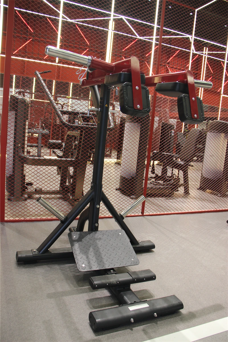 PL2704.jpg