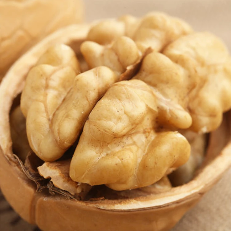 Walnut In Shell Small Walnut Walnut Raw